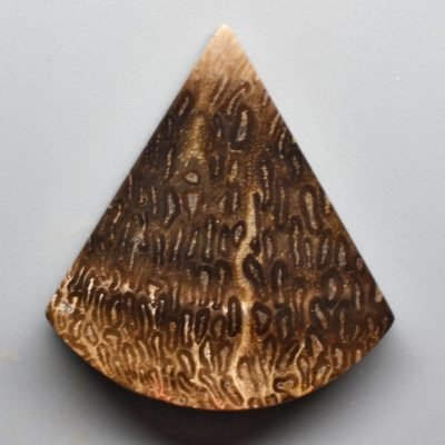Tietea-singularis-20.68-ct.jpg