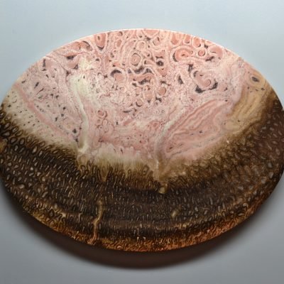 Tietea-singularis-207.75-ct.jpg