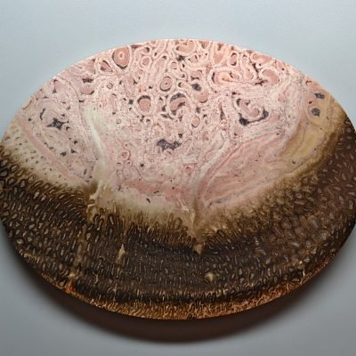 Tietea-singularis-226.65-ct.jpg