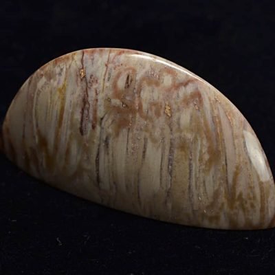 Tietea-singularis-90.40-ct.a.jpg