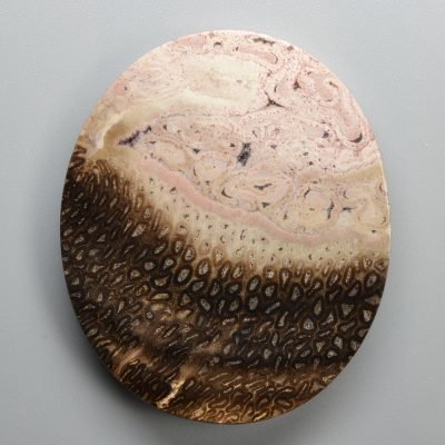 Tietea-singularis-94.87-ct.jpg