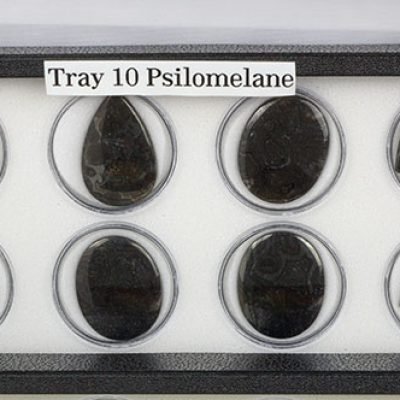 Tray 10
