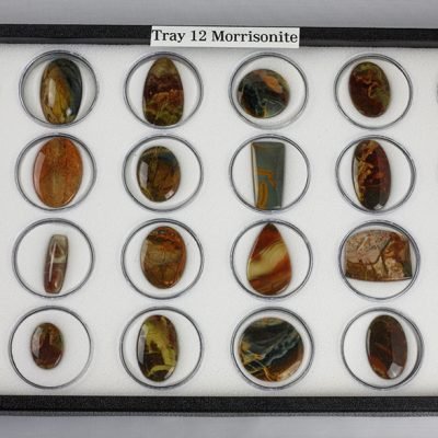 Tray 12