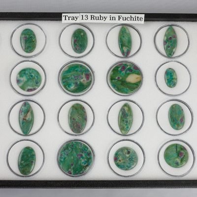 Tray 13