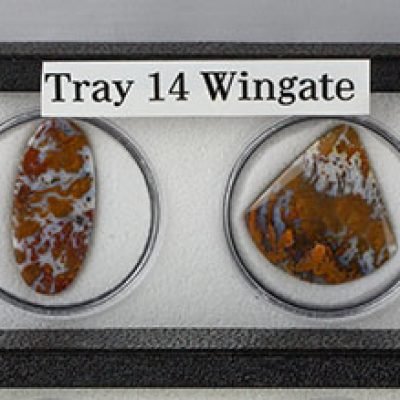 Tray 14
