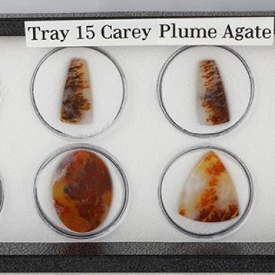 Tray 15