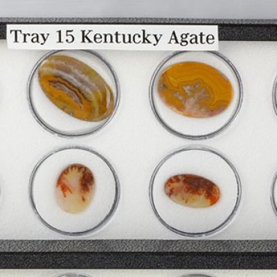 Tray 15_2