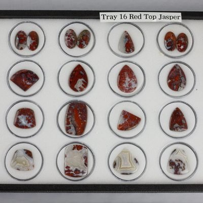 Tray 16