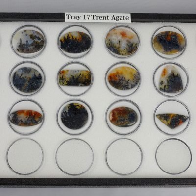 Tray 17