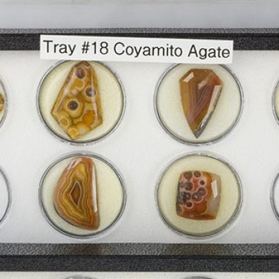 Tray 18