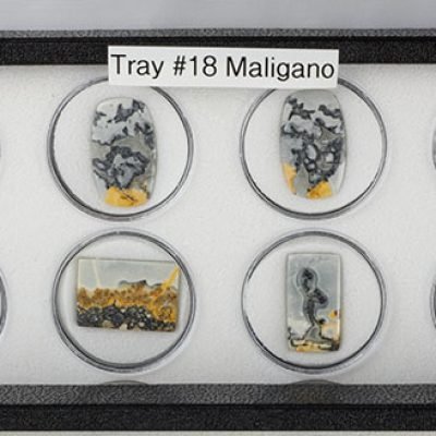 Tray 18_2