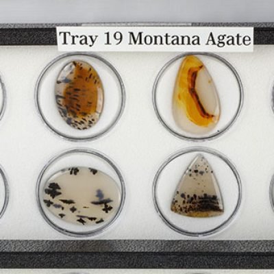 Tray 19