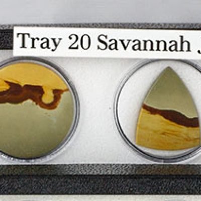 Tray 20