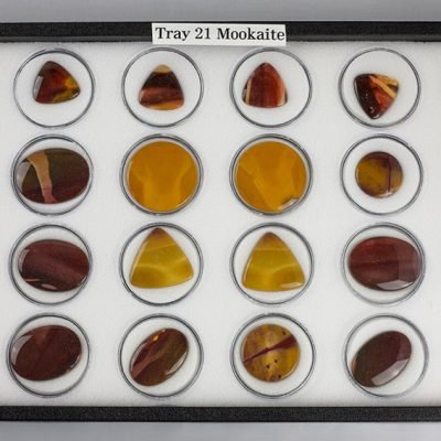 Tray 21