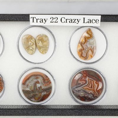 Tray 22_2