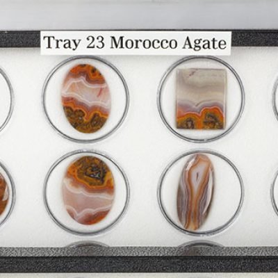 Tray 23