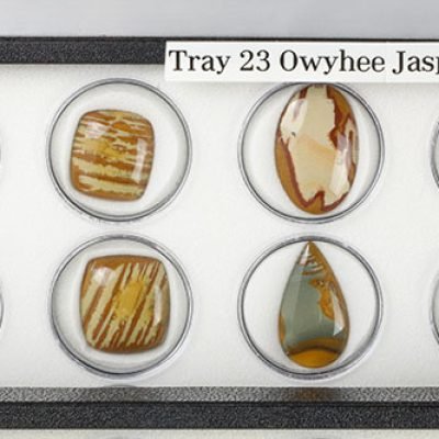 Tray 23_2
