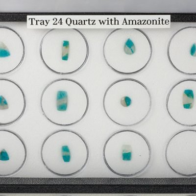 Tray 24