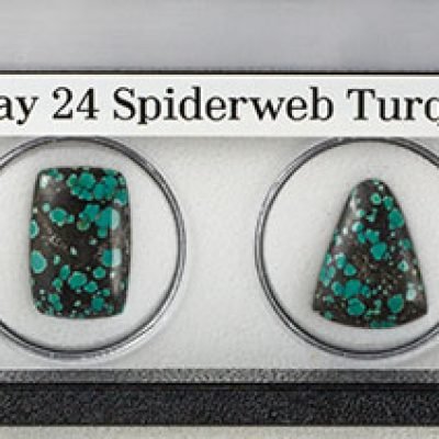 Tray 24_2