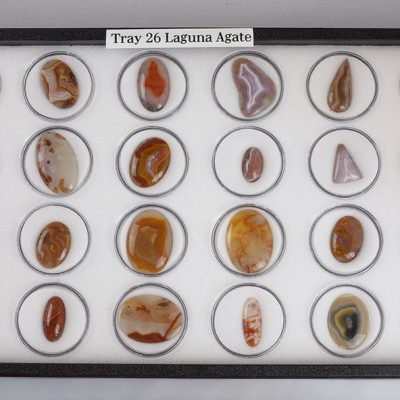 Tray 26