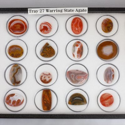 Tray 27
