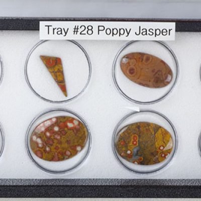 Tray 28