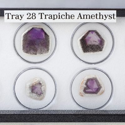 Tray 28_2
