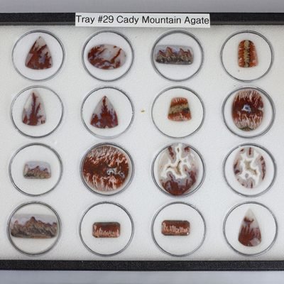 Tray 29