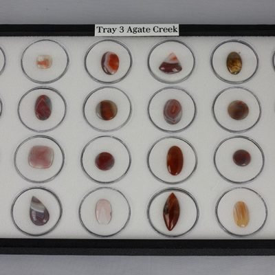 Tray 3