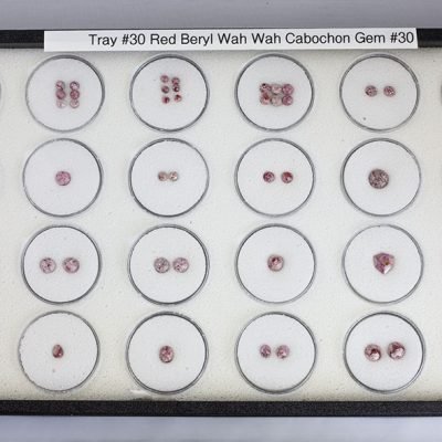 Tray 30