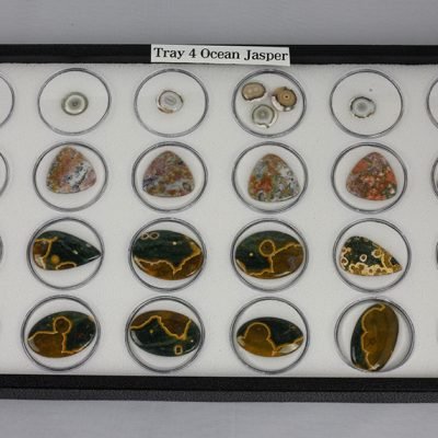 Tray 4