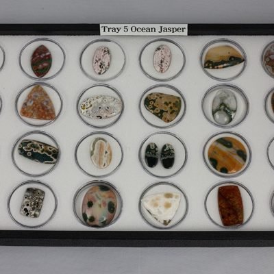 Tray 5
