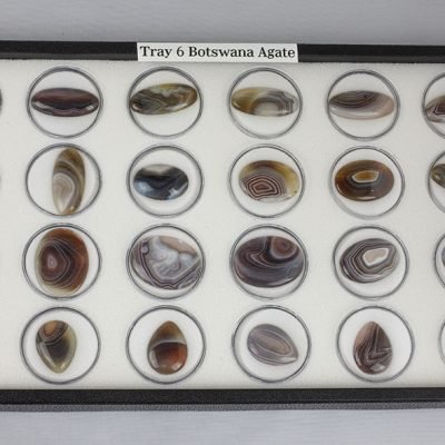 Tray 6