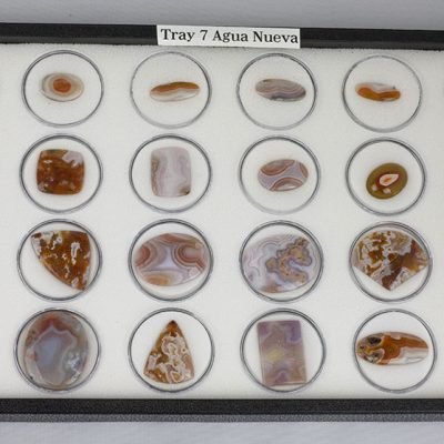 Tray 7