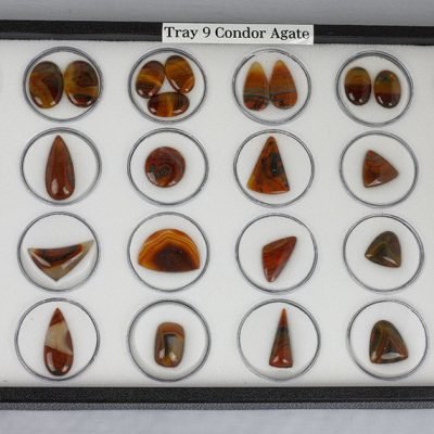 Tray 9