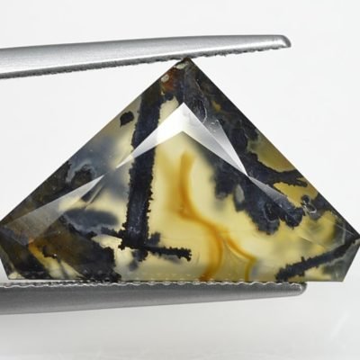 Trent-agate-7.77-ct.a.jpg