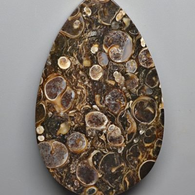 Turritella-agate-100.65-ct.jpg
