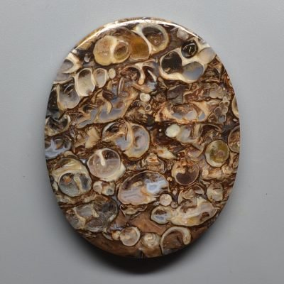 Turritella-agate-102.14-ct.jpg