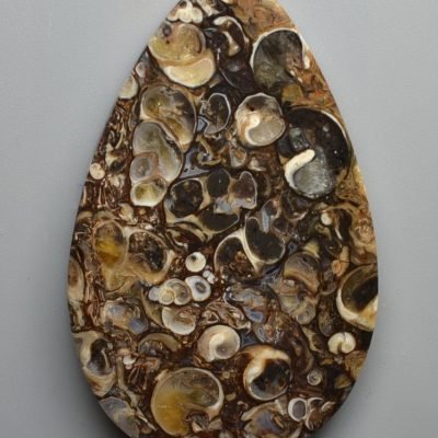 Turritella-agate-114.48-ct.jpg