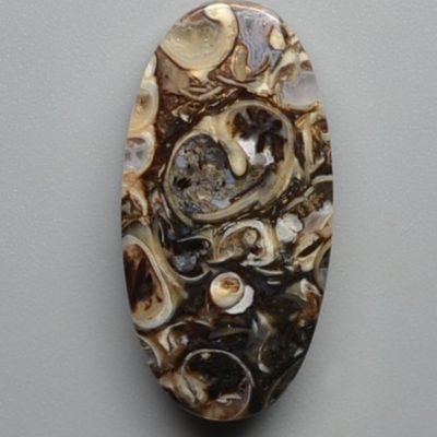 Turritella-agate-16.71-ct.jpg