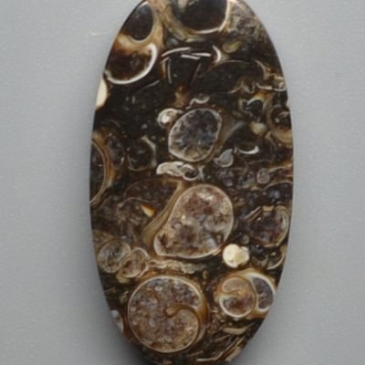 Turritella-agate-18.49-ct.jpg