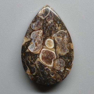Turritella-agate-18.83-ct.jpg