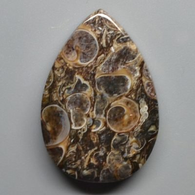 Turritella-agate-21.82-ct.jpg