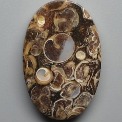 Turritella-agate-26.48-ct.jpg