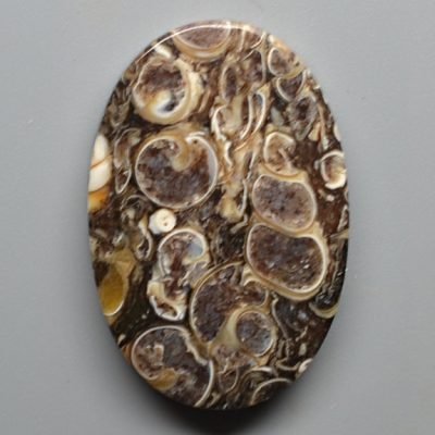 Turritella-agate-30.78-ct.jpg