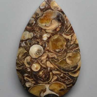 Turritella-agate-31.43-ct.jpg
