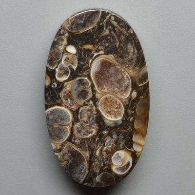 Turritella-agate-32.01-a.-ct.jpg