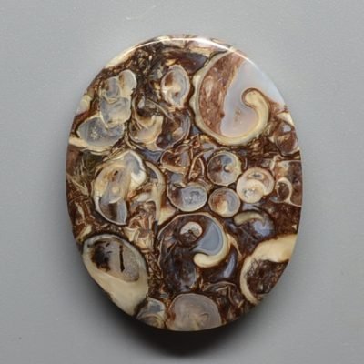 Turritella-agate-32.01-ct.jpg