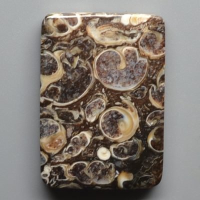 Turritella-agate-33.04-ct.jpg
