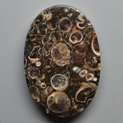Turritella-agate-34.99-ct.jpg
